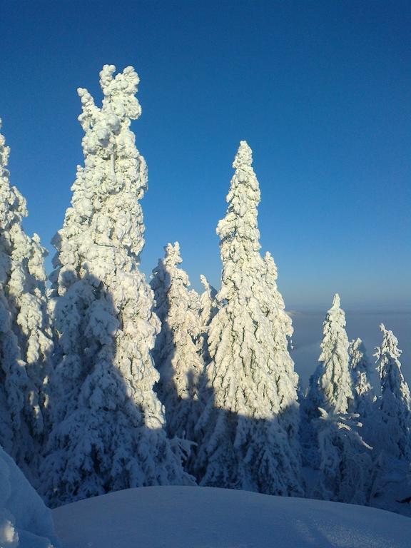 Koli Freetime Cottages Ahmovaara Zimmer foto