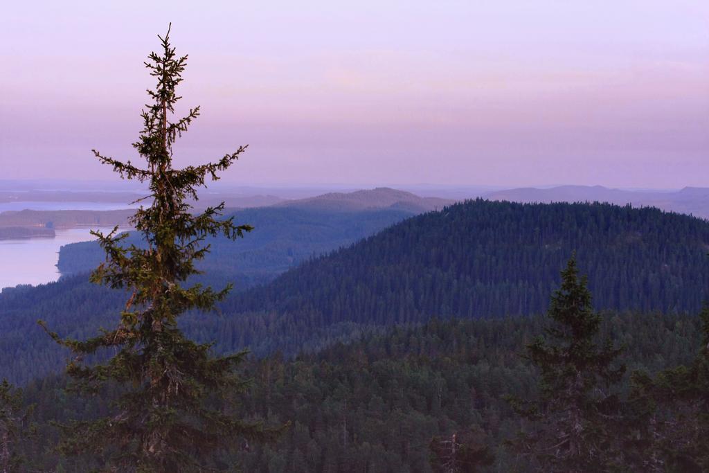 Koli Freetime Cottages Ahmovaara Zimmer foto