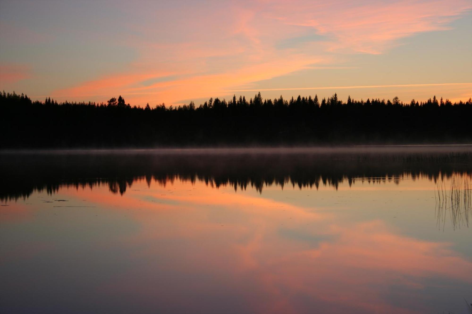 Koli Freetime Cottages Ahmovaara Zimmer foto